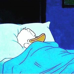 Meet your Posher, Stephon